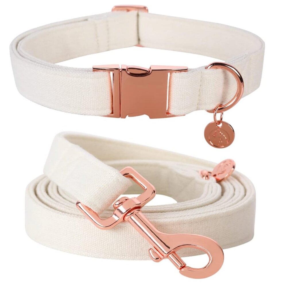 DOGWONG Dog Collar and Leash White - XS
